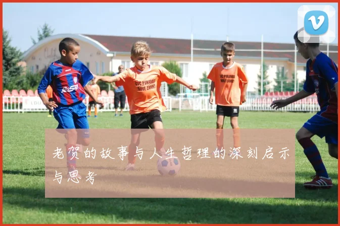 老贺的故事与人生哲理的深刻启示与思考