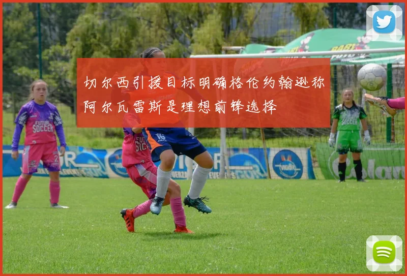 切尔西引援目标明确格伦约翰逊称阿尔瓦雷斯是理想前锋选择
